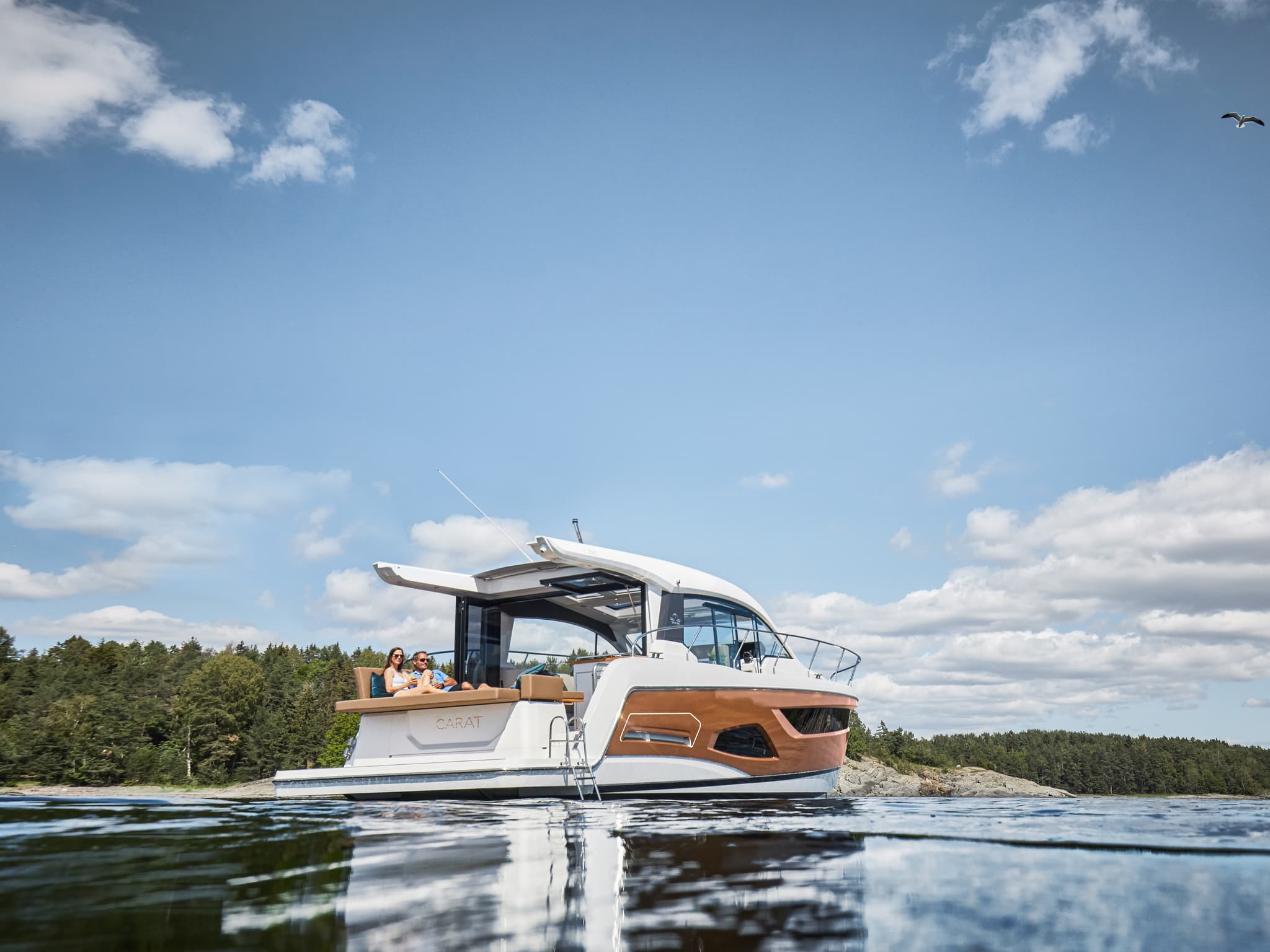 Sealine barca